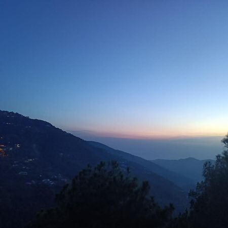 The Summer House Kasauli I Party & Music I Sky Bonfire I Managed By Exotic Stays المظهر الخارجي الصورة
