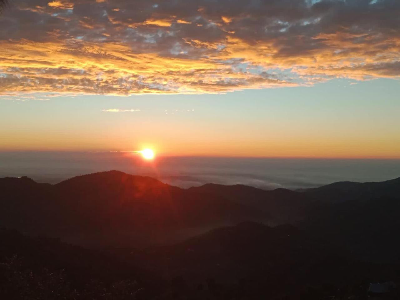 The Summer House Kasauli I Party & Music I Sky Bonfire I Managed By Exotic Stays المظهر الخارجي الصورة